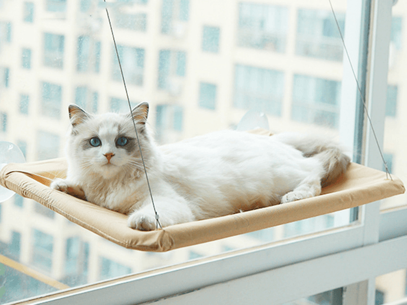 Cama elevada de janelas para Gatos - Sunny Seat - Quality Life Store